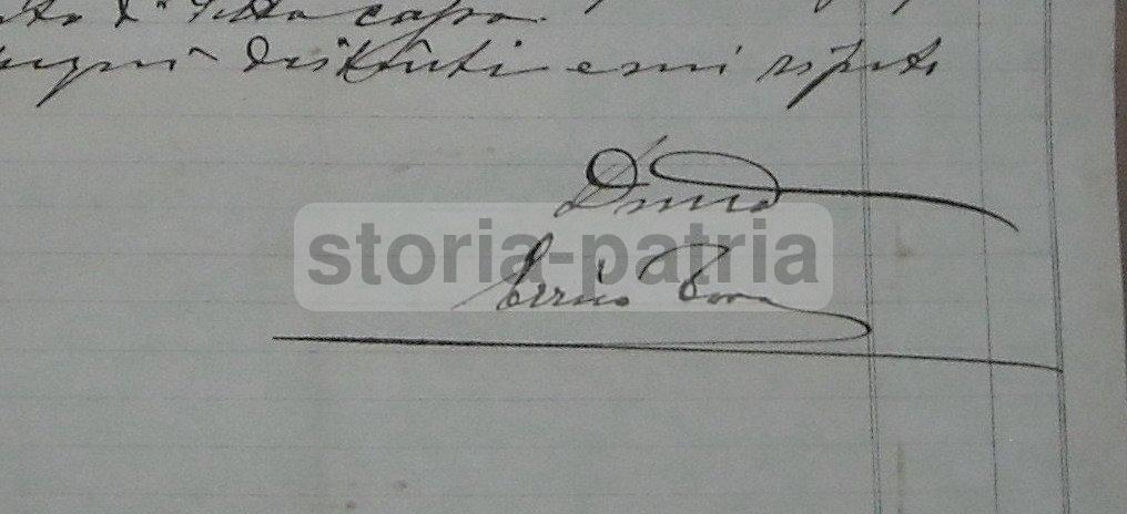 Abruzzo, Antica Pubblicitaria, Araldica, Liquori, Esposizione Abruzzese, Toro, Rarita immagine 3