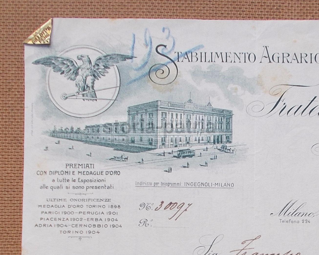 Agraria, Botanica, Ditta Ingegnoli, Bella Artistica Intestazione Pubblicitaria, 900 immagine 1