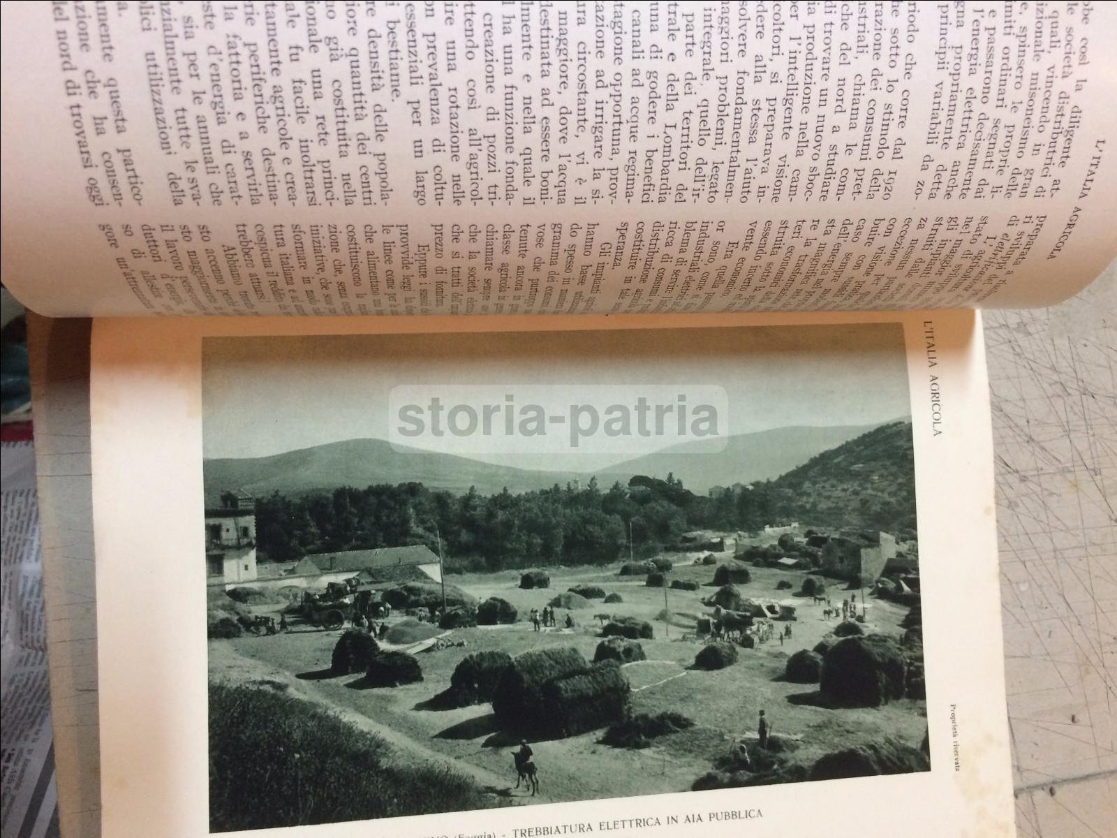 Agraria, Elettricta, Applicazioni Elettriche In Agricoltura, Pozzi, Sicilia, Puglia immagine 10