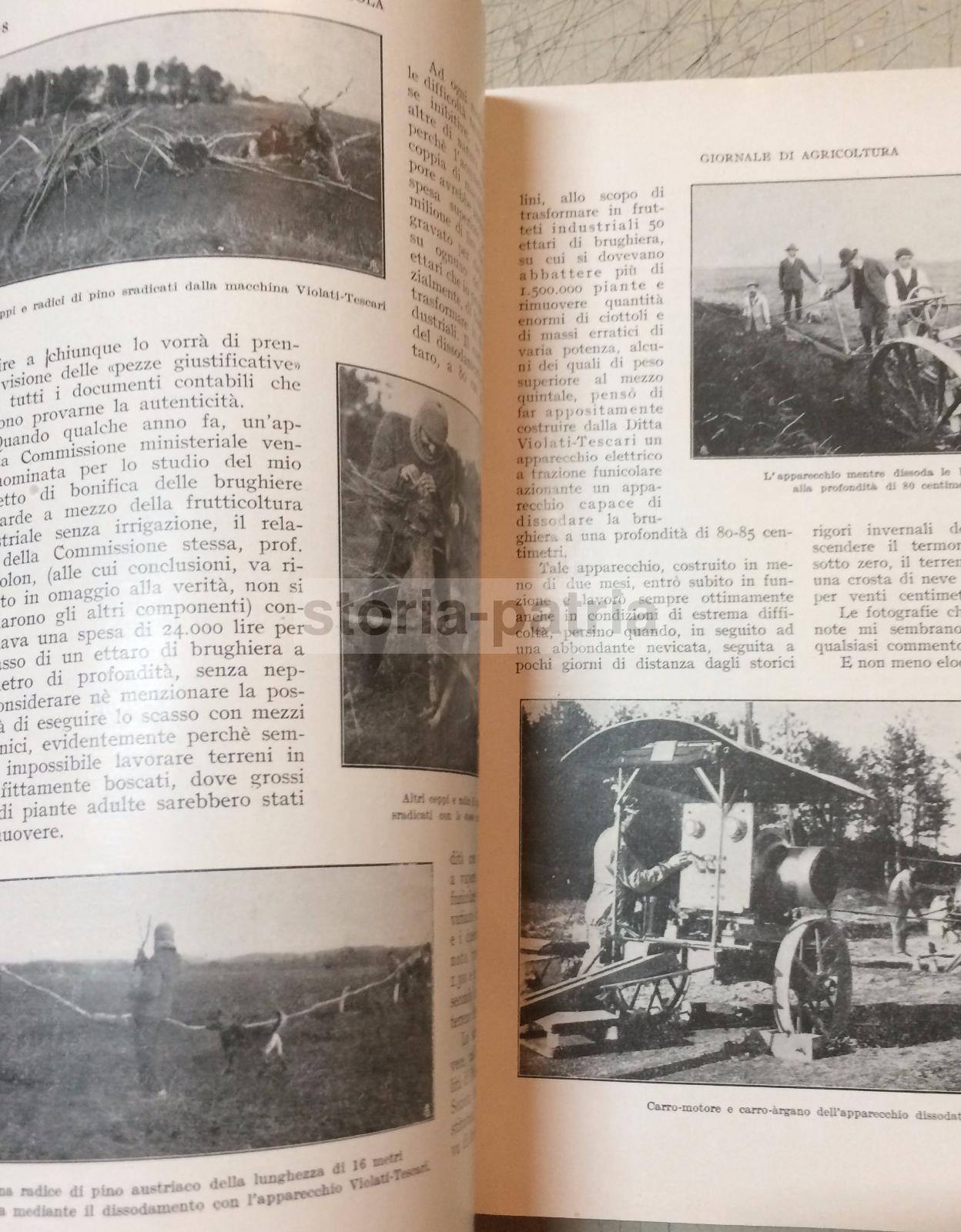 Agraria, Elettricta, Applicazioni Elettriche In Agricoltura, Pozzi, Sicilia, Puglia immagine 16