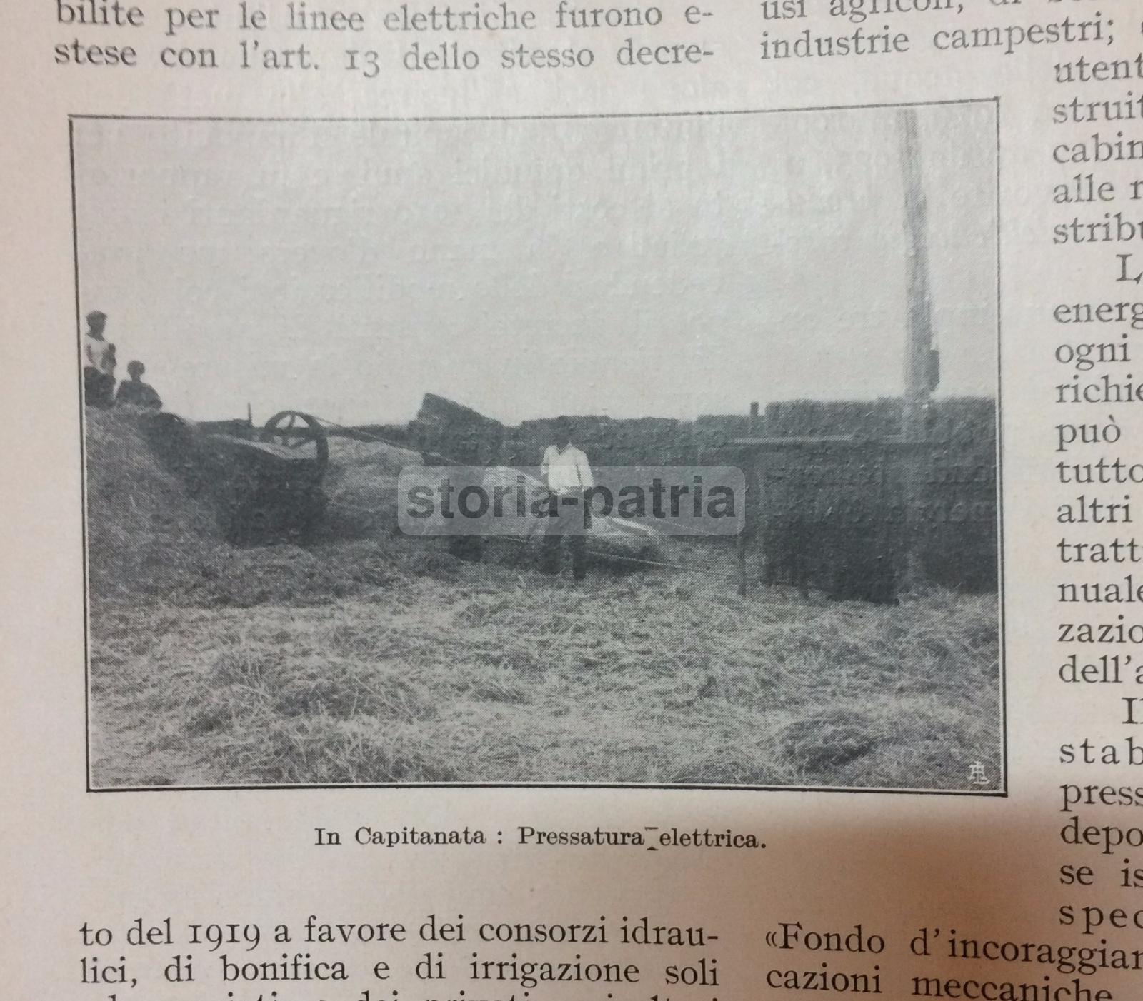 Agraria, Elettricta, Applicazioni Elettriche In Agricoltura, Pozzi, Sicilia, Puglia immagine 21