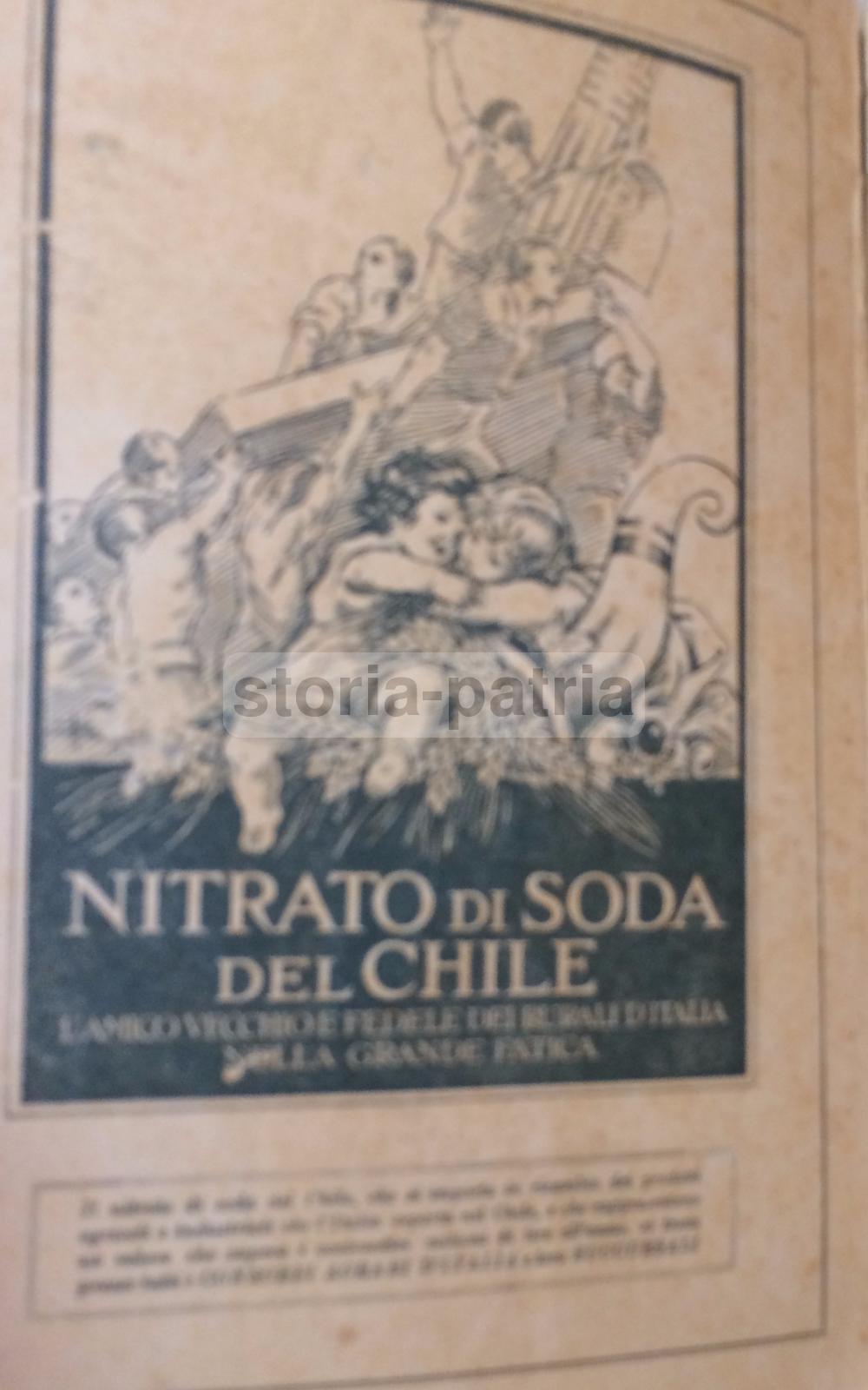 Agraria, Elettricta, Applicazioni Elettriche In Agricoltura, Pozzi, Sicilia, Puglia immagine 23