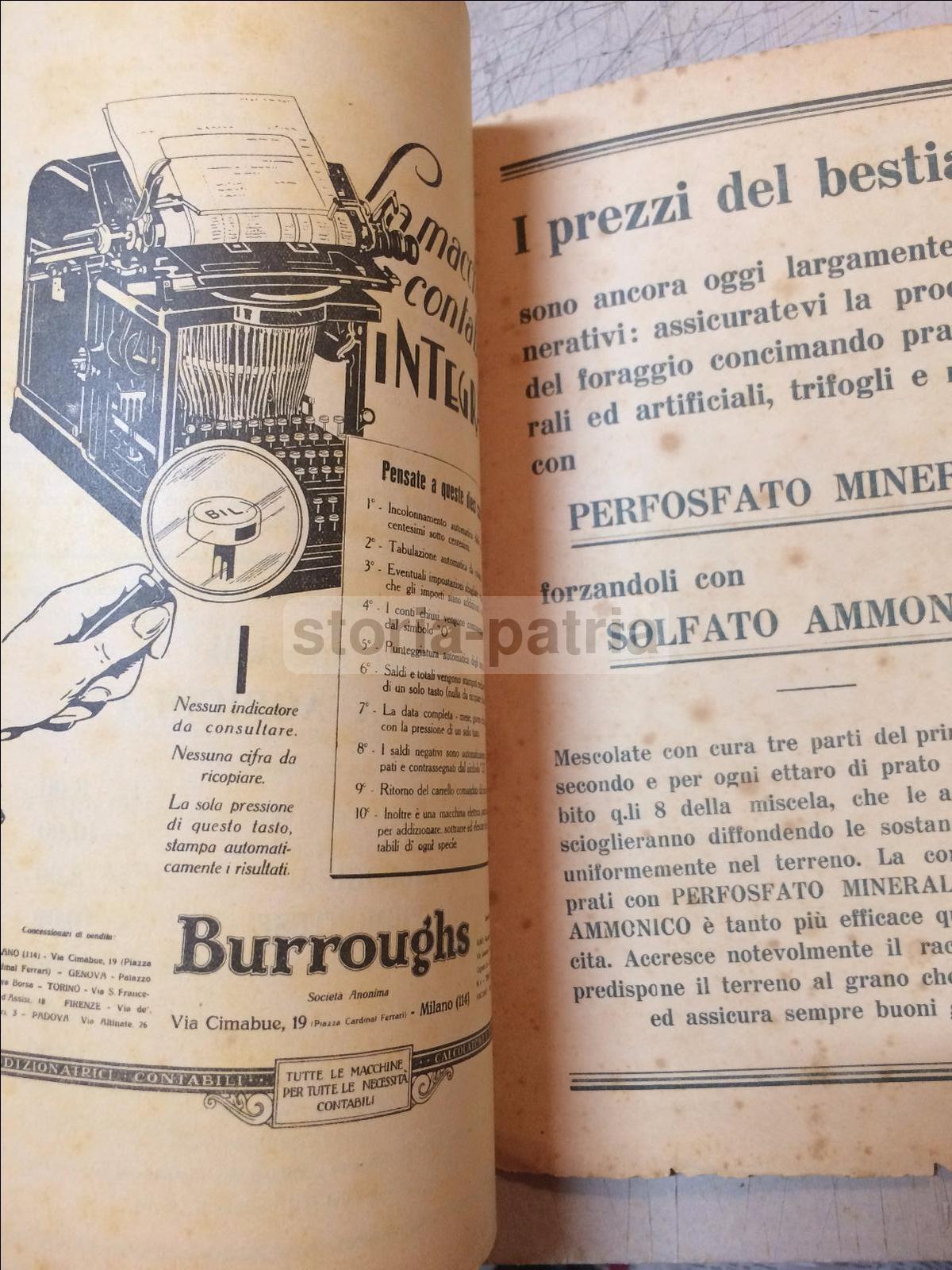 Agraria, Elettricta, Applicazioni Elettriche In Agricoltura, Pozzi, Sicilia, Puglia immagine 27