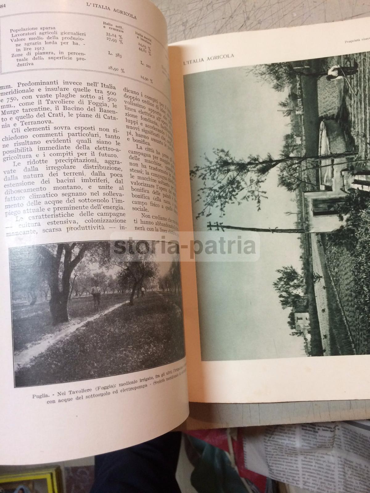 Agraria, Elettricta, Applicazioni Elettriche In Agricoltura, Pozzi, Sicilia, Puglia immagine 32