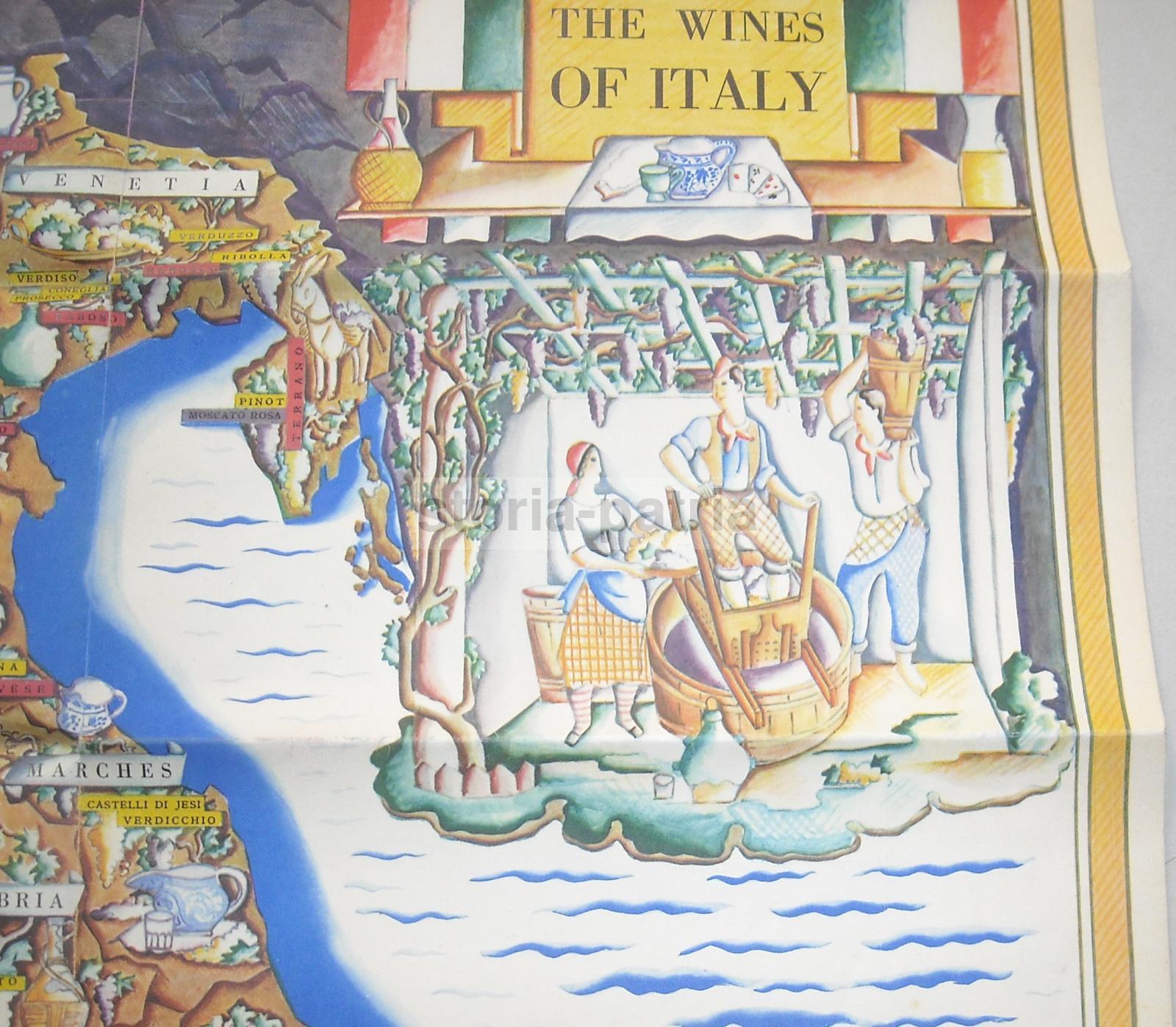Agraria, Enologia, Vini Regionali Italiani, Propaganda Enit, Mappa Artistica, Zimelli immagine 5