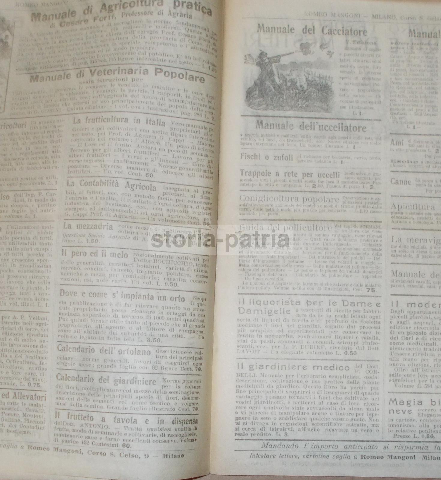 Antico Catalogo, Pipe, Musica, Strumenti Musicali, Amache, Casalinghi, Enologia, Rarita immagine 3