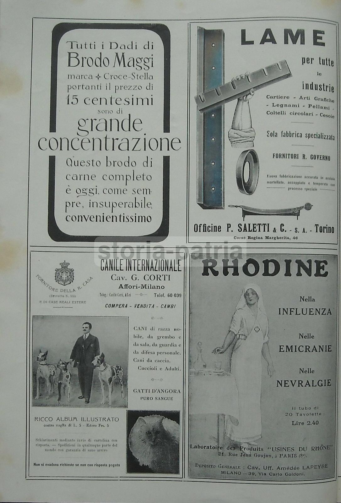 Bologna, Corticella, Acqua Minerale, Codognato, Canile Corti, Lame Saletti, Rhodine immagine 2