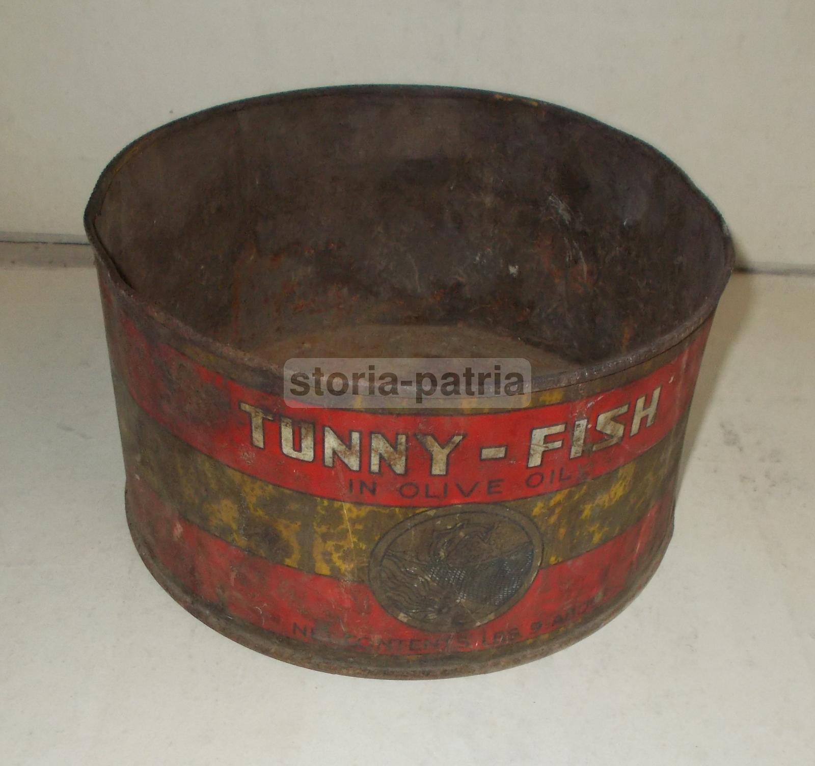 Cucina, Gastronomia, Pesce, Tonno, Sicilia, Lampedusa, Agrigento, Scatola Pubblicitaria immagine 3