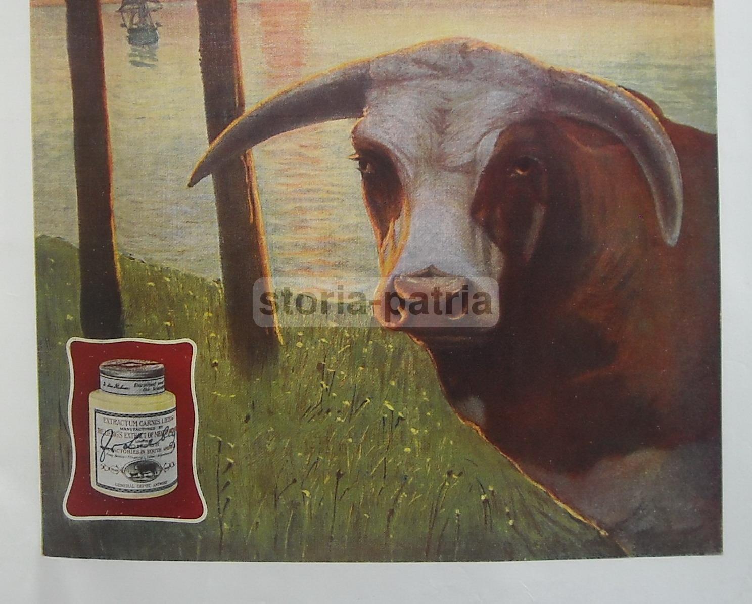 Cucina, Liebig, Estratto Di Carne, Grafica Pubblicitaria, Igiene, Farmacia, Marchesini immagine 3