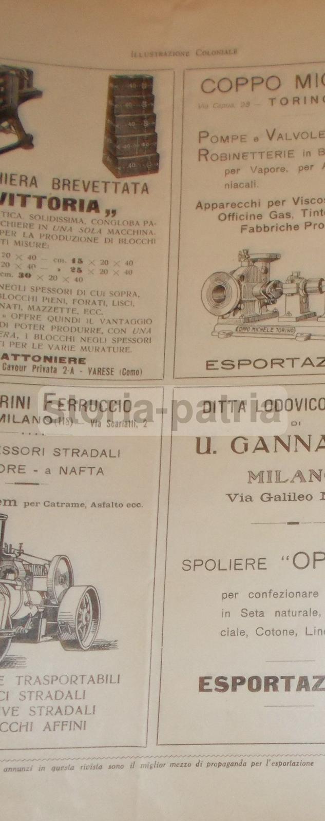 Economia, Esportazione, Colonie, Emigrazione, Americhe, Africa, Grecia, Cavagna, Penne immagine 6