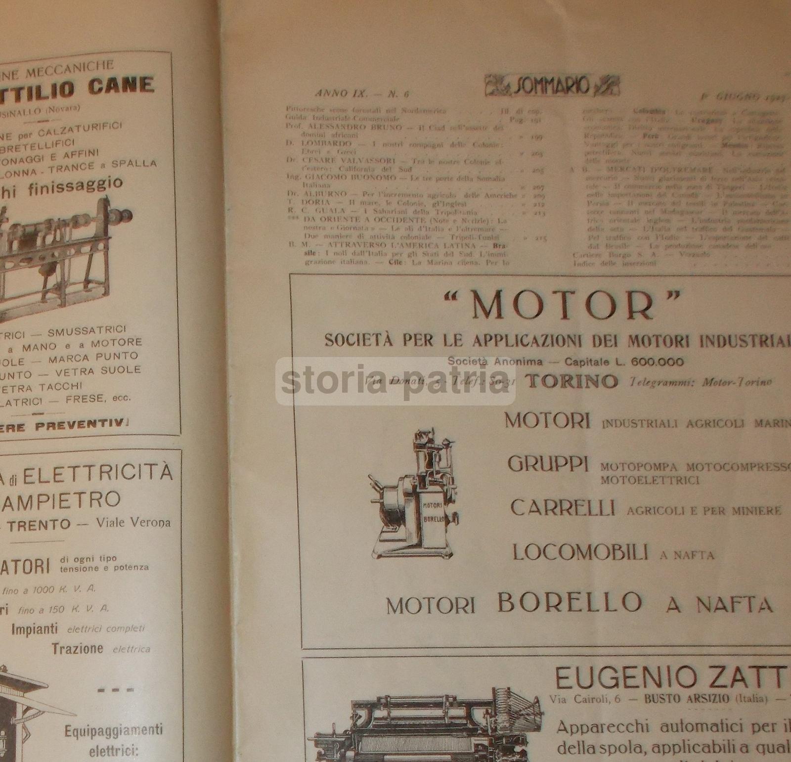 Economia, Esportazione, Colonie, Emigrazione, Americhe, Africa, Grecia, Cavagna, Penne immagine 7