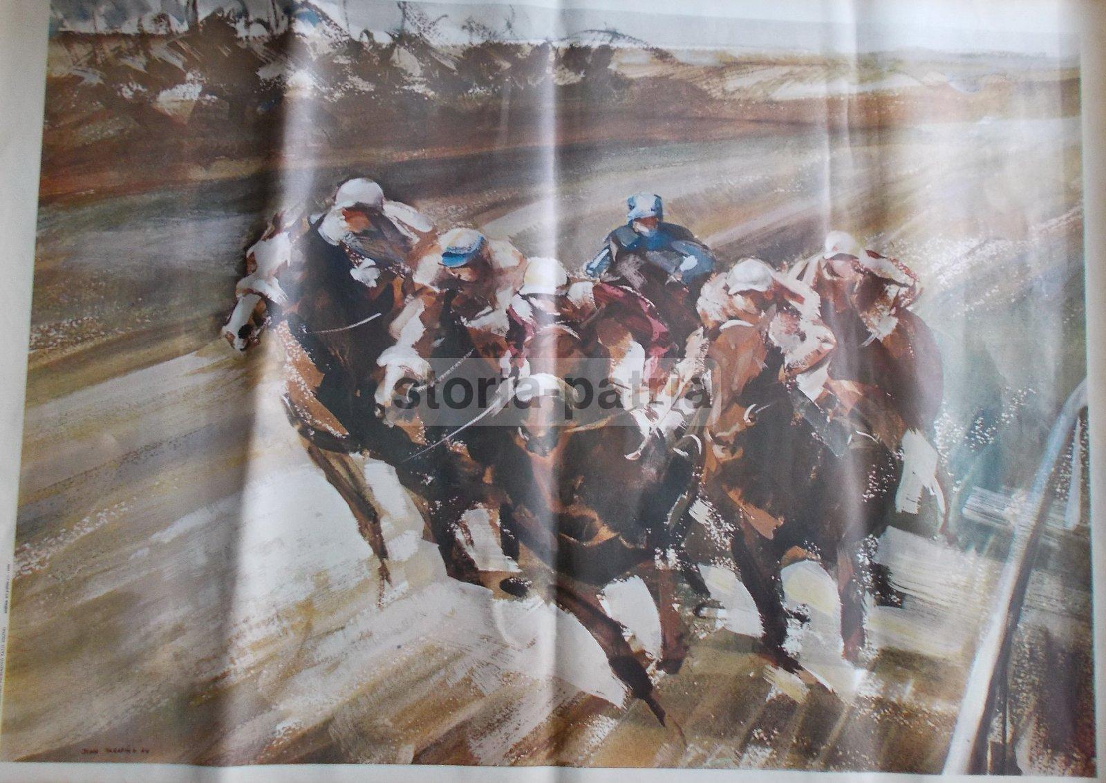 Equitazione, Ippica, Cavalli, Grande Manifesto Propagandistico, Unire, Razze Equine immagine 6