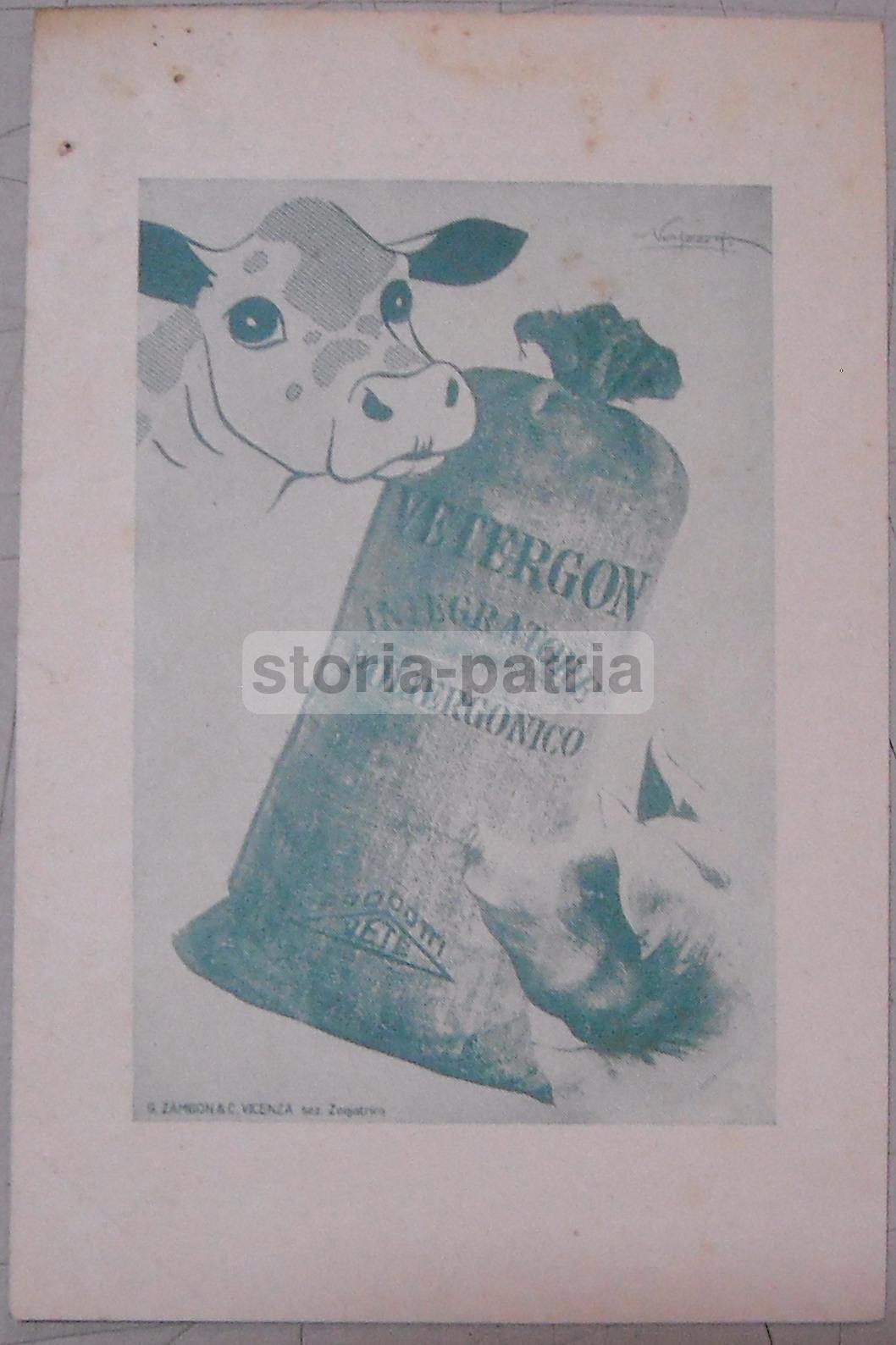 Medicina, Farmacia, Pubblicitaria Farmaceutica, Vetergon, Integratore, Zambon, Vicenza immagine 1