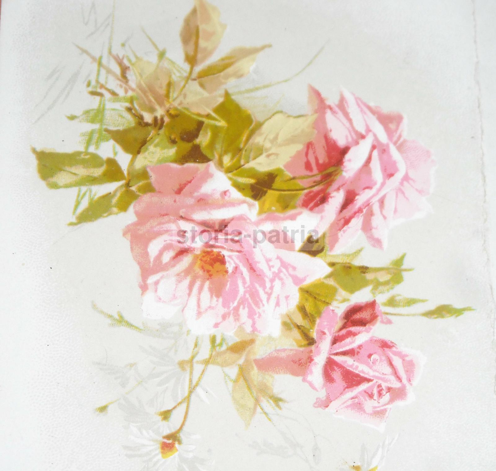 Puglia, Bari, Caffe, Sorbetteria, Pasticceria, Confetti, Vini, Liquori, Risorgimento immagine 5