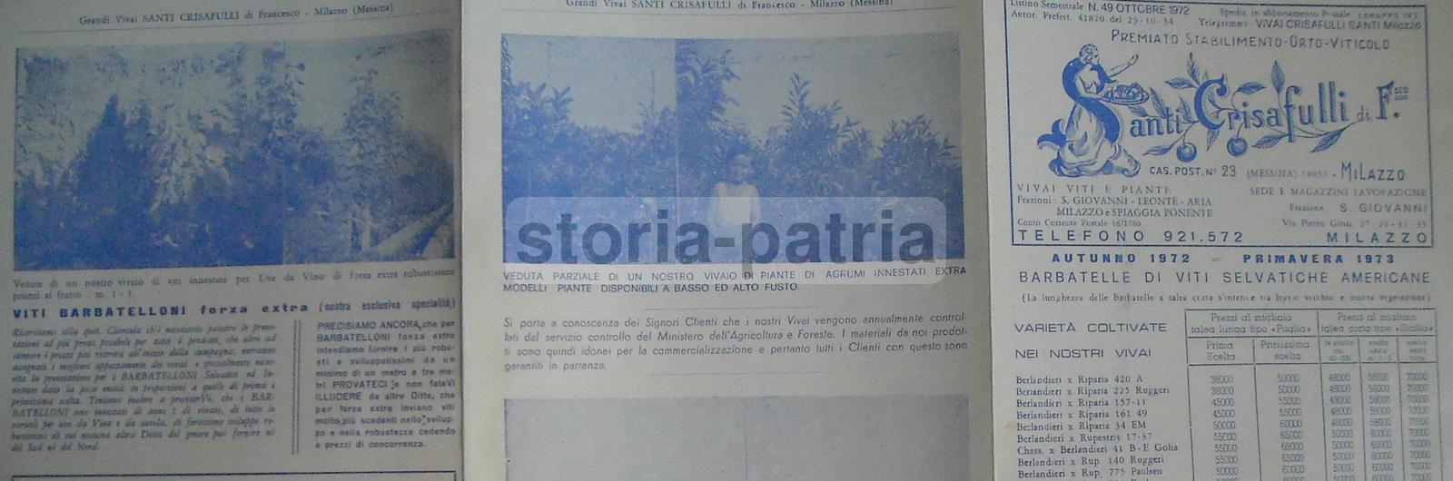 Sicilia, Milazzo, Santi Crisafulli, Agraria, Orticoltura, Viti, Vivaio, Listino Prezzi immagine 3