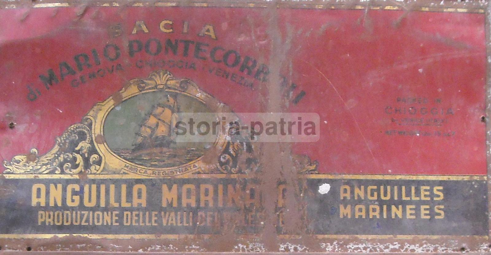 Valli Del Polesine, Chioggia, Genova, Marineria, Pesce, Cucina, Anguilla, Pontecorboli immagine 2